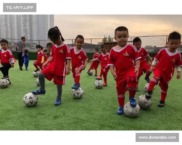 如何深入了解建业足球俱乐部的组织性质及其各类活动情况